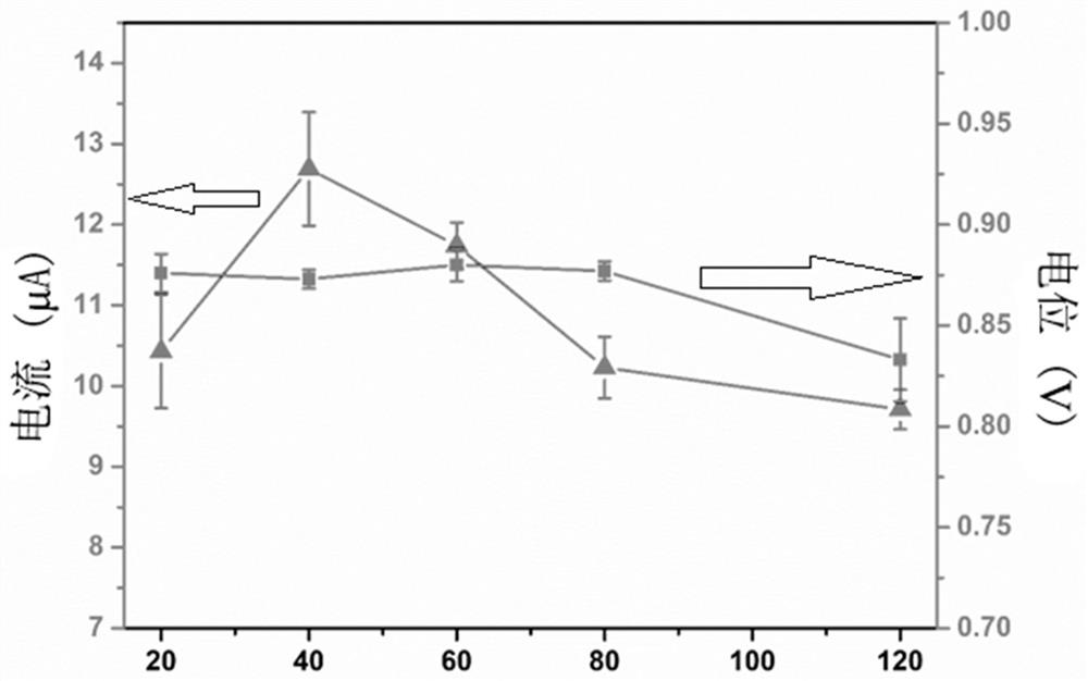 Method for detecting enrofloxacin in water body