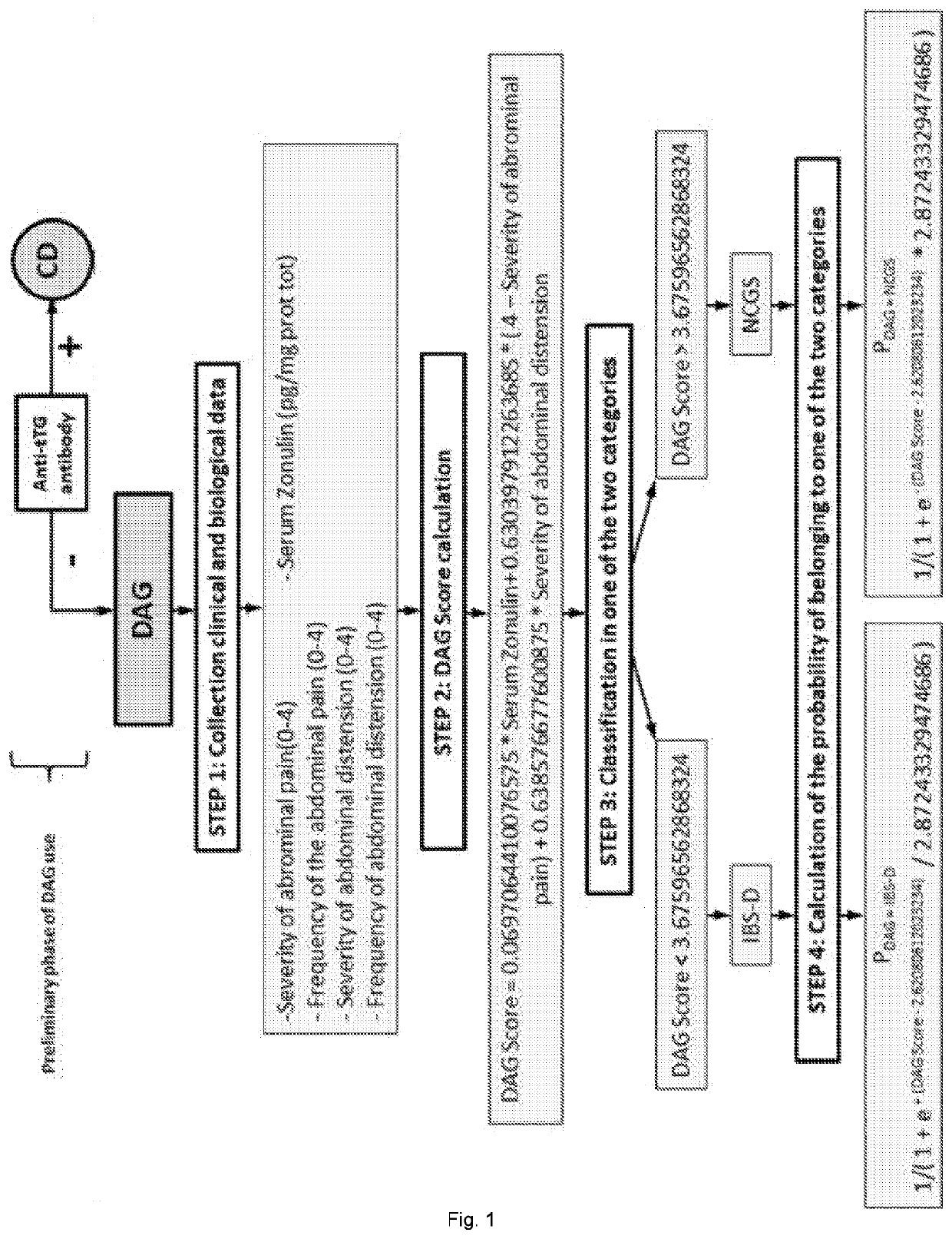 Method and kit for diagnosing non celiac gluten sensitivity