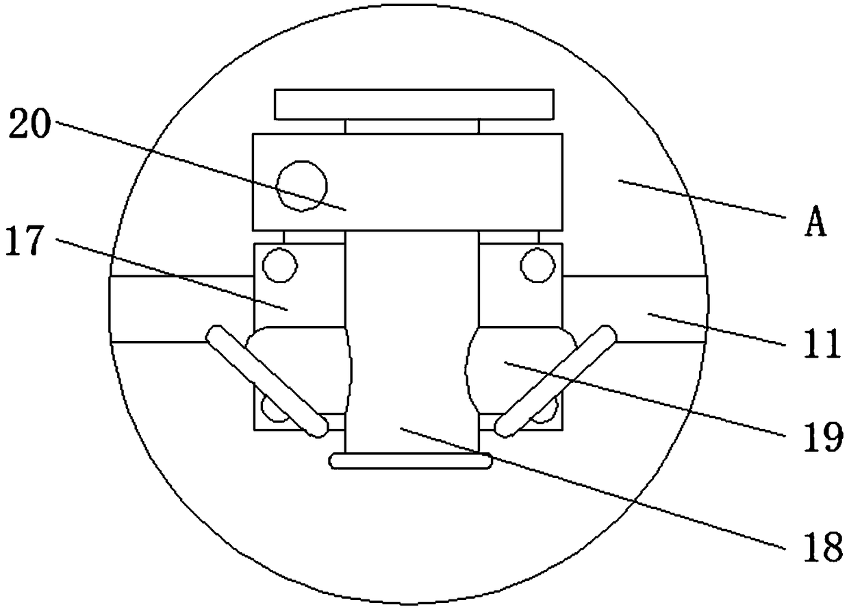 Protection mechanism for agricultural landscape greening plant