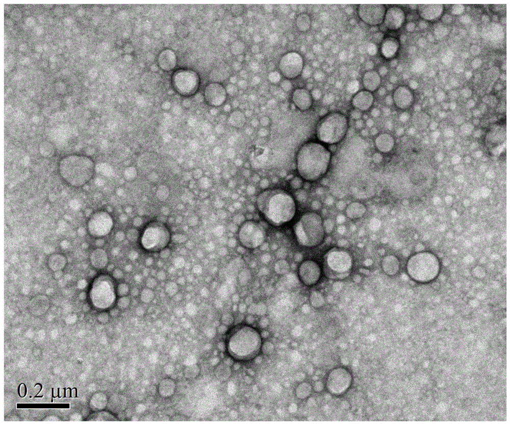 A kind of linoleic acid modified glucan and the method for preparing polymer liposome