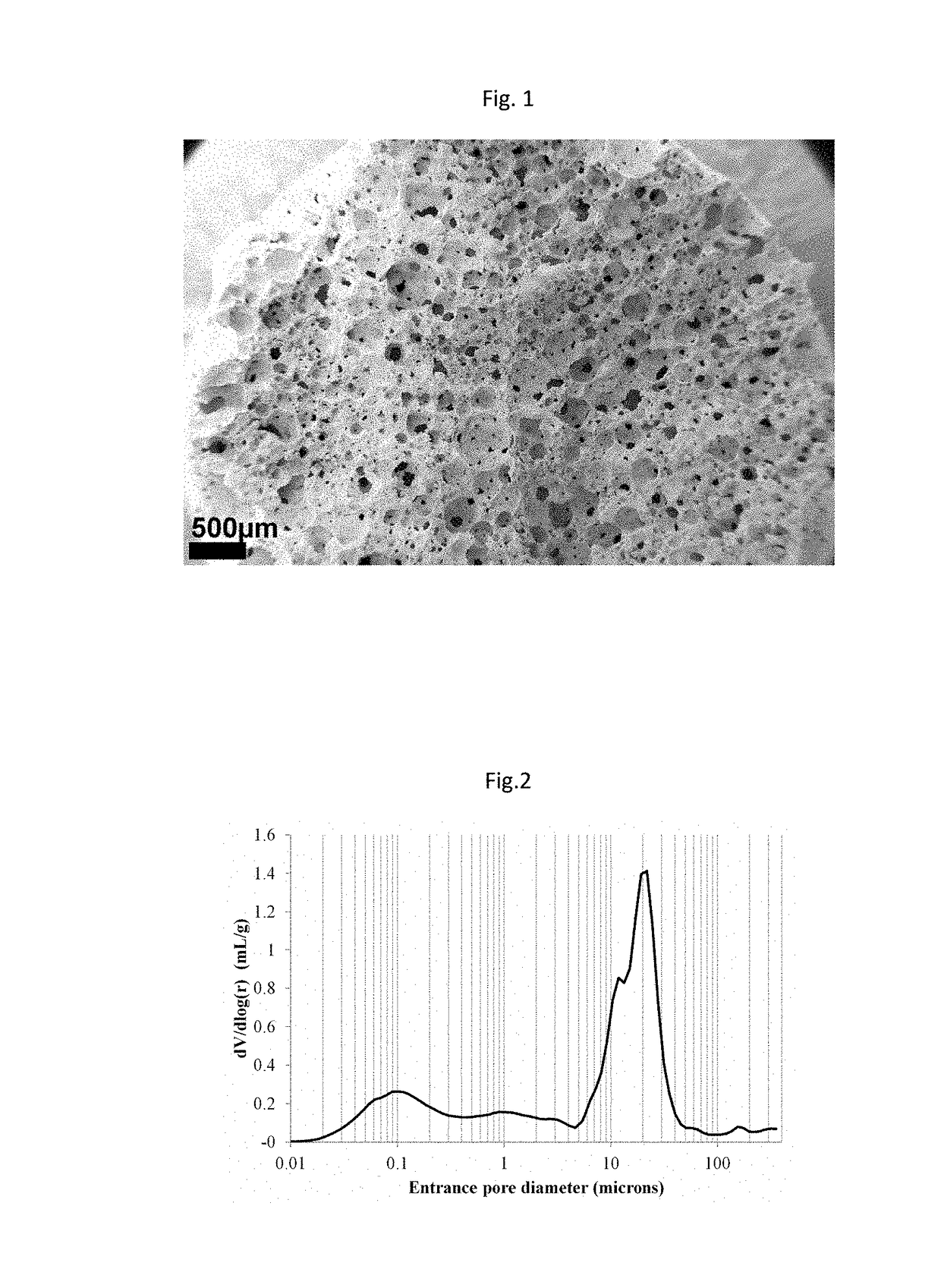 New single-step manufacturing process for foamed biomaterials