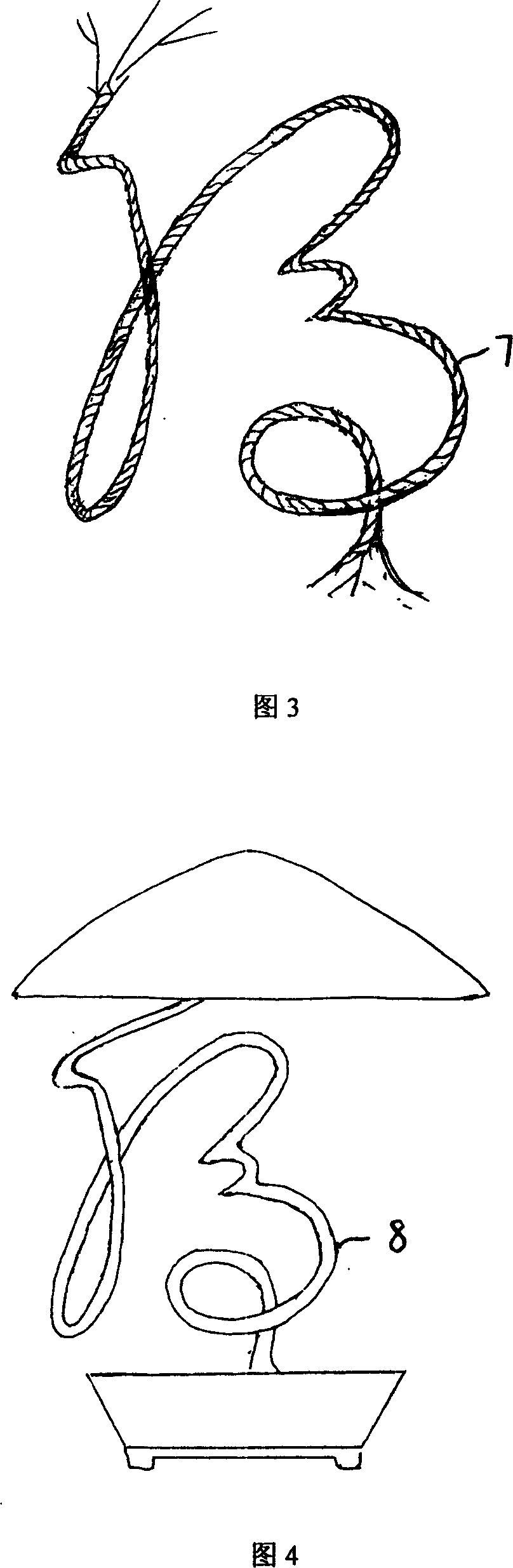 Mold shaping method for cursive script potted landscape