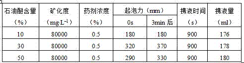 Foam scrubbing agent with gas condensate resistance and salt resistance and preparation method of foam scrubbing agent