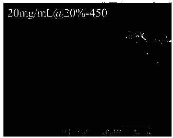 Preparation method of lignin based carbon loaded nano metal oxide catalyst