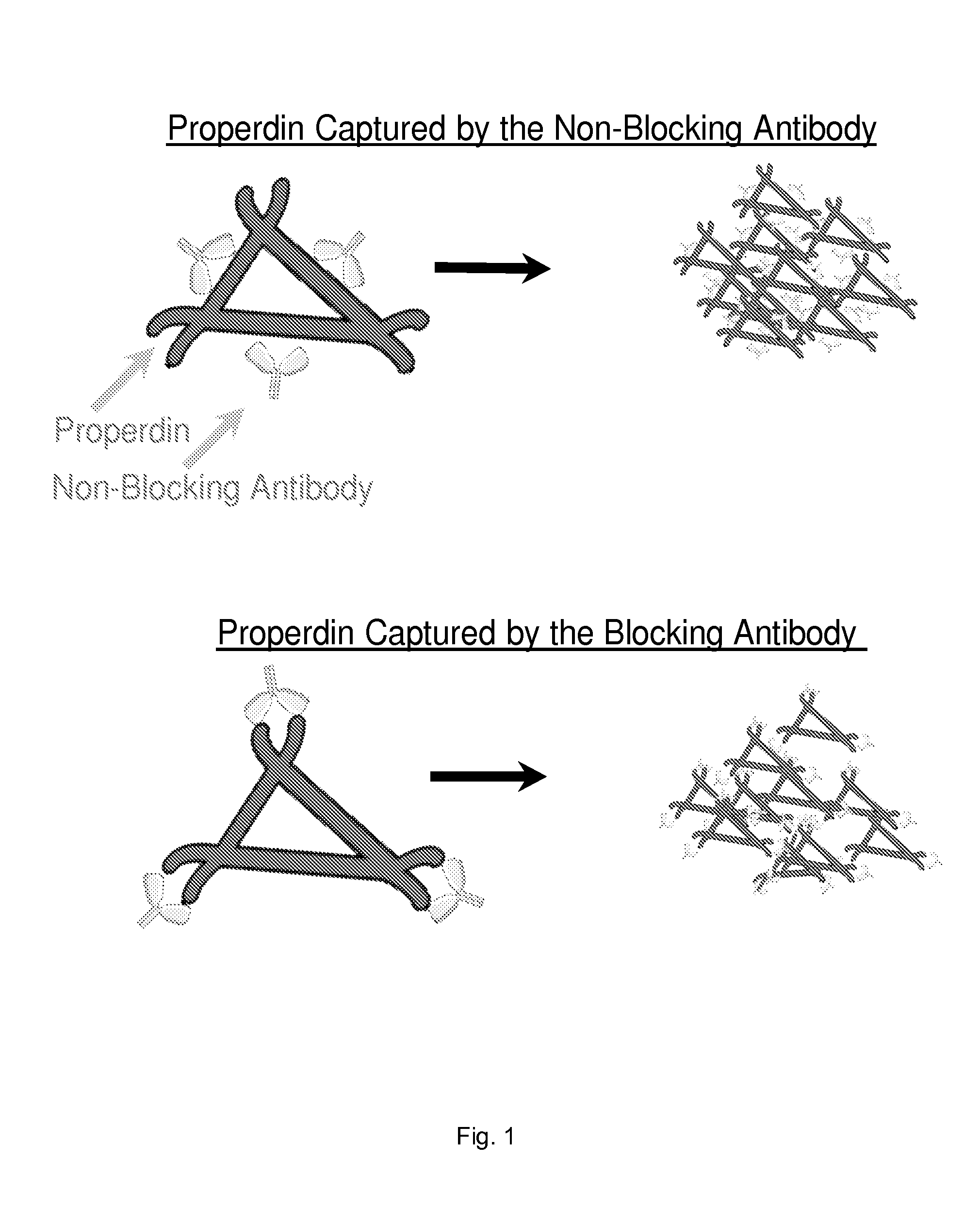 Device and method for inhibiting complement activation