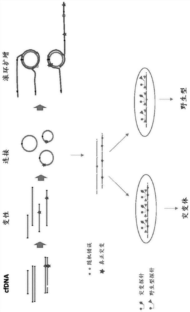 Compositions and methods for digital polymerase chain reaction