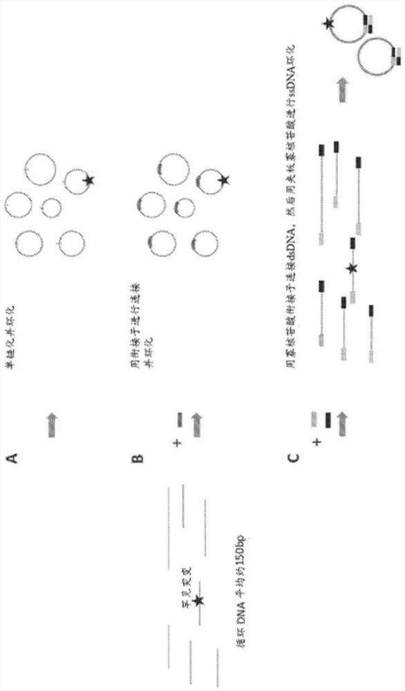 Compositions and methods for digital polymerase chain reaction