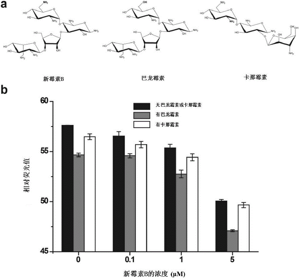 Method for detecting neomycin B content in milk and application thereof