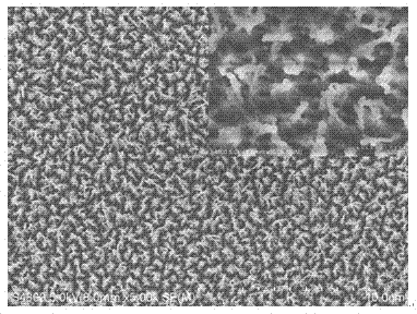 Transparent flexible surface enhanced Raman active substrate and preparation method thereof