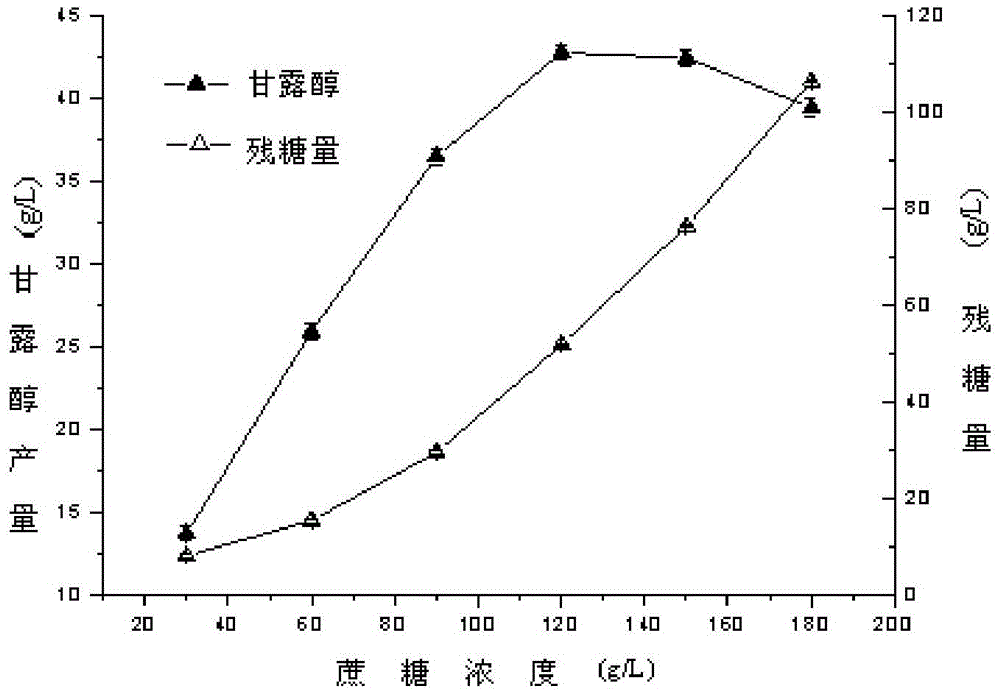 A kind of method that takes sucrose as raw material biotransformation to produce mannitol