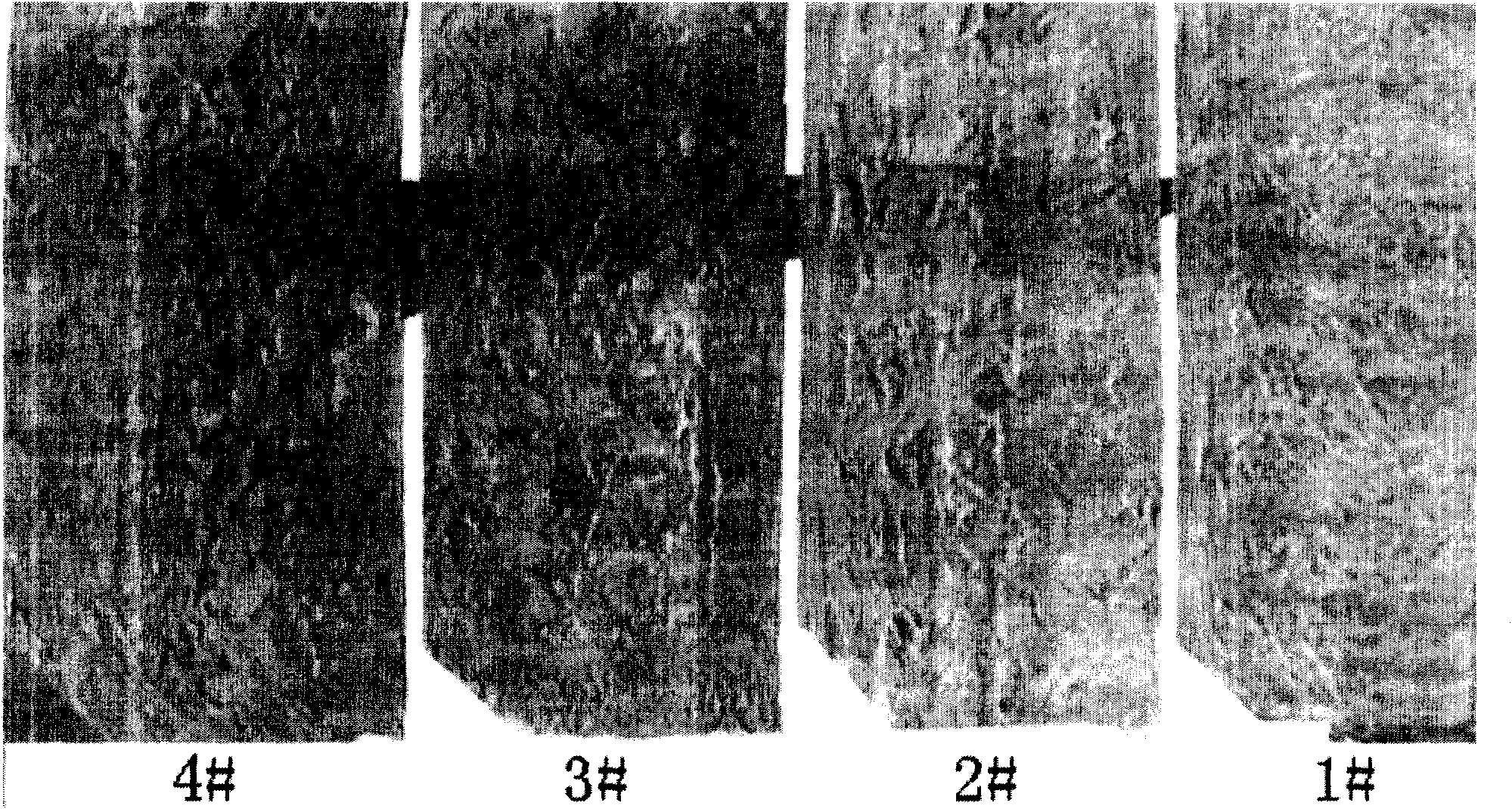 Economic anti-saltpetering inside and outside walls facing mortar