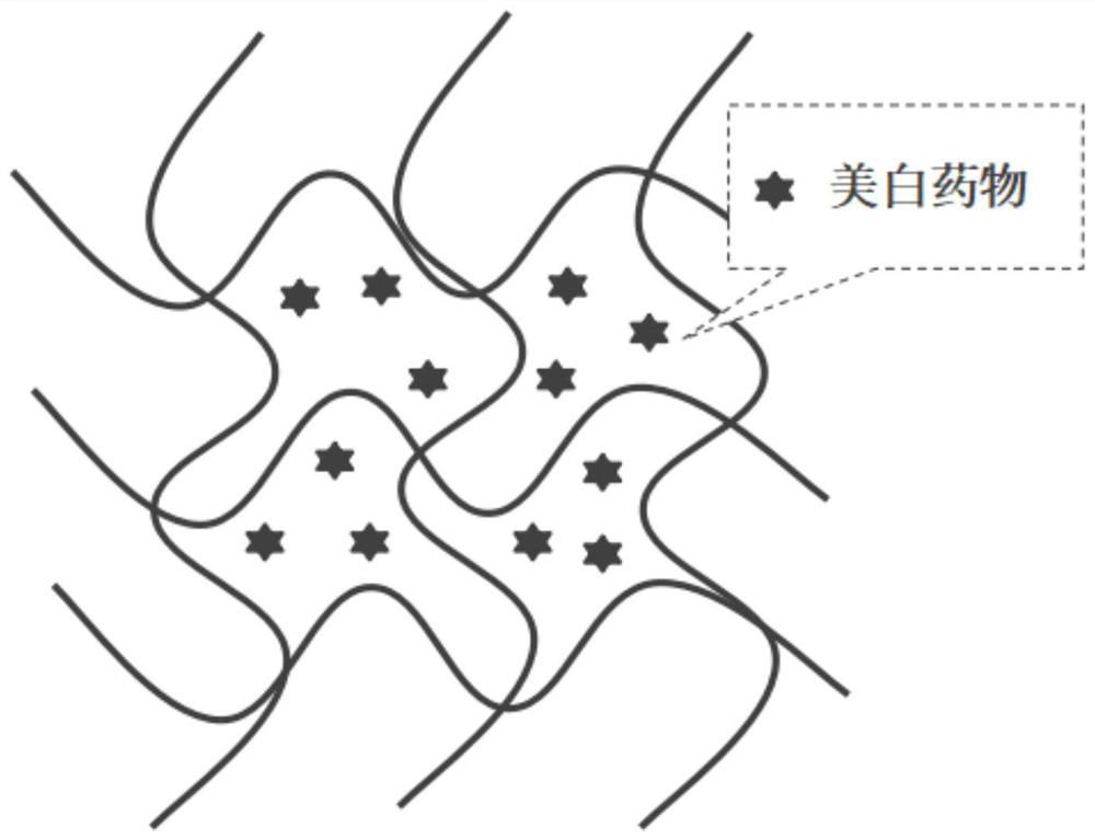 Cosmetic bionic polymer membrane as well as preparation method and application thereof