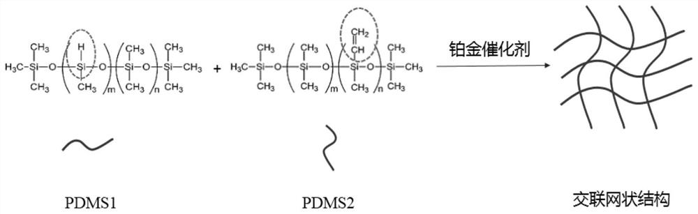 Cosmetic bionic polymer membrane as well as preparation method and application thereof