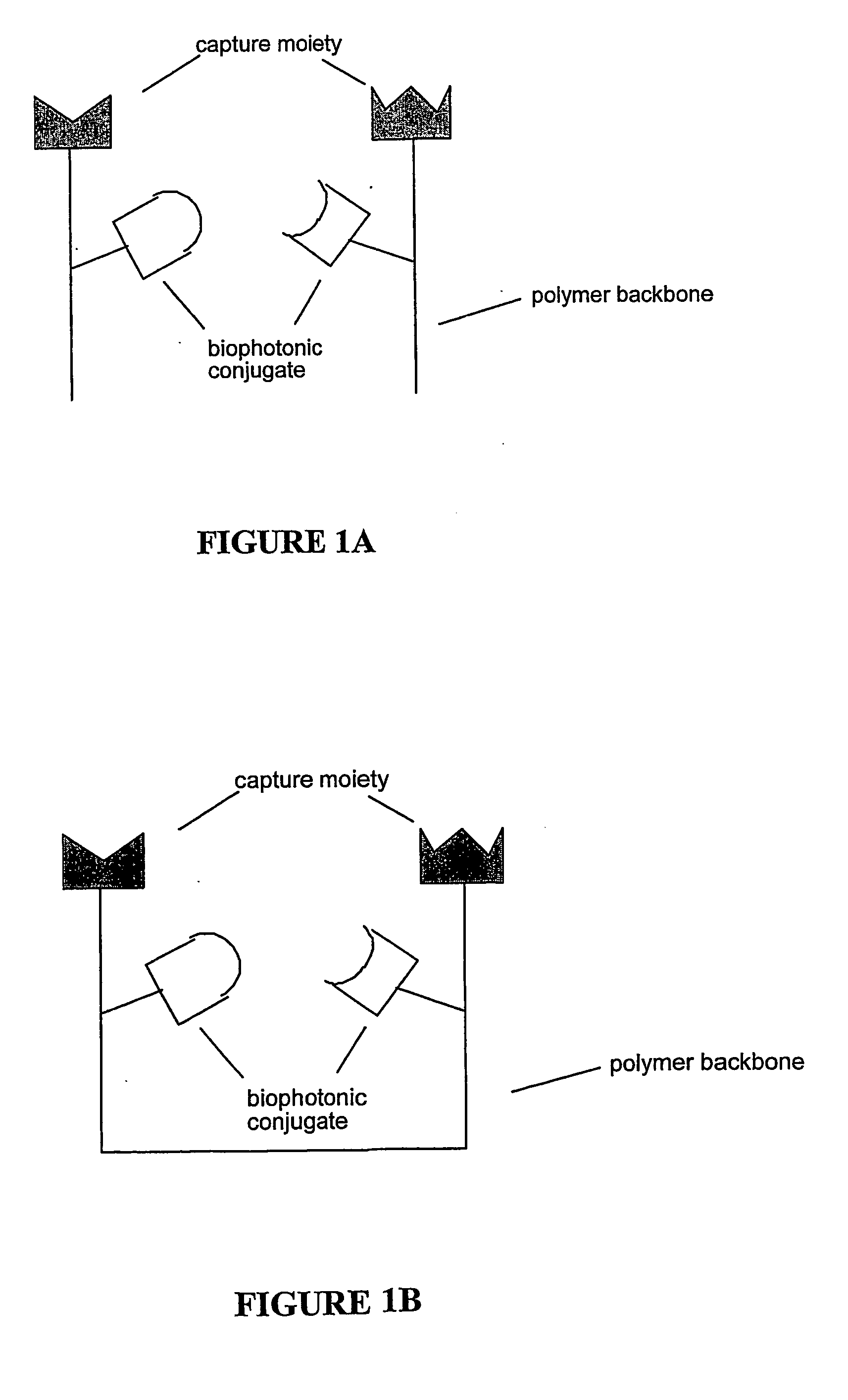 Biophotonic sensors and methods of use thereof