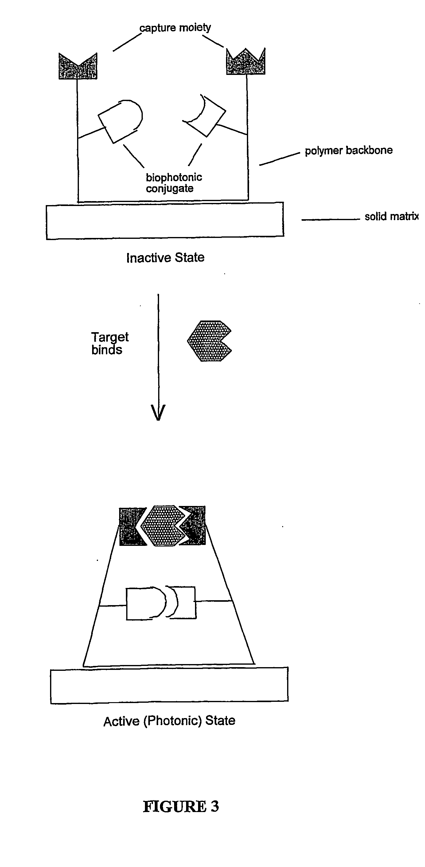 Biophotonic sensors and methods of use thereof