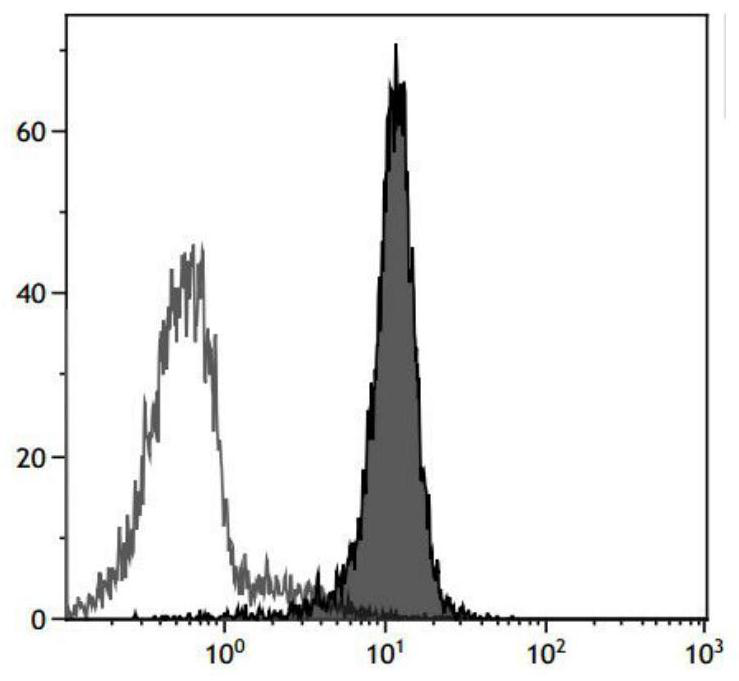 A method for large-scale induction of NK cell expansion in vitro