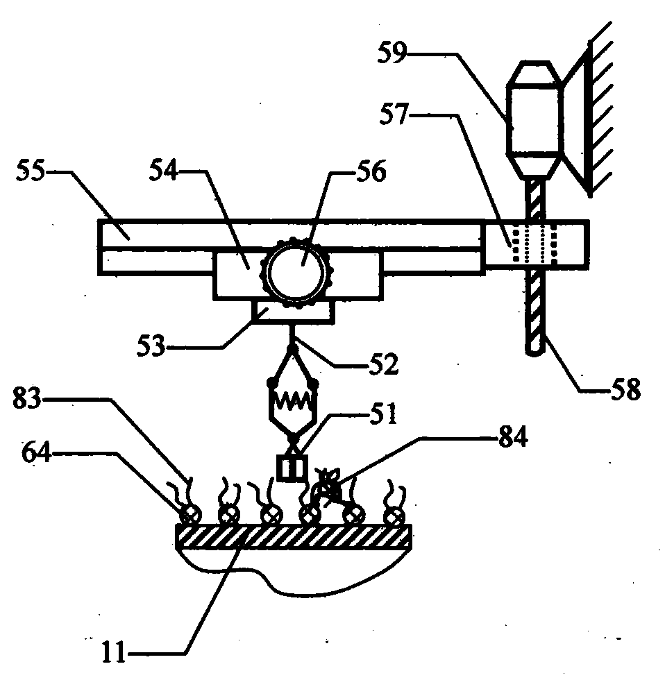 Polygonal cylinder type yarn grinding hairness and hair bulb tension holding pull measuring device and method