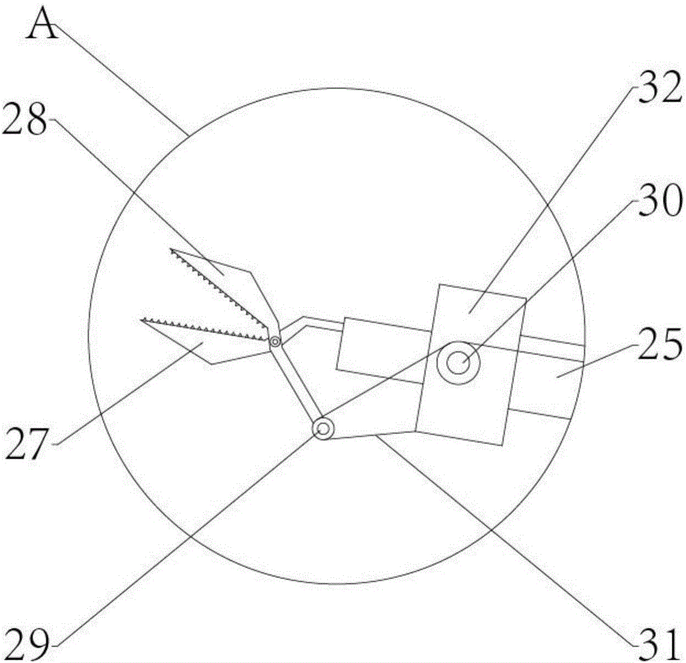 Fruit tree pruning device