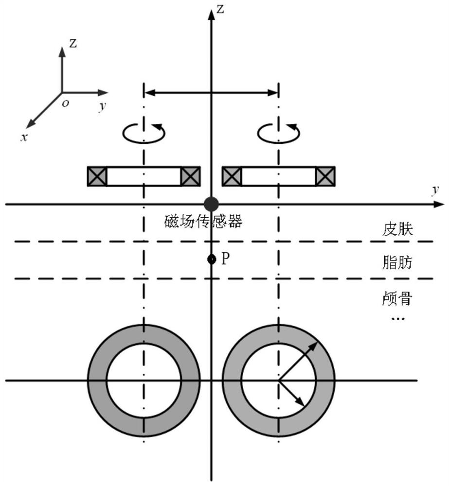 Brain Tissue Electromagnetic Field Analysis Method Based on Transcranial Magnetic Stimulator