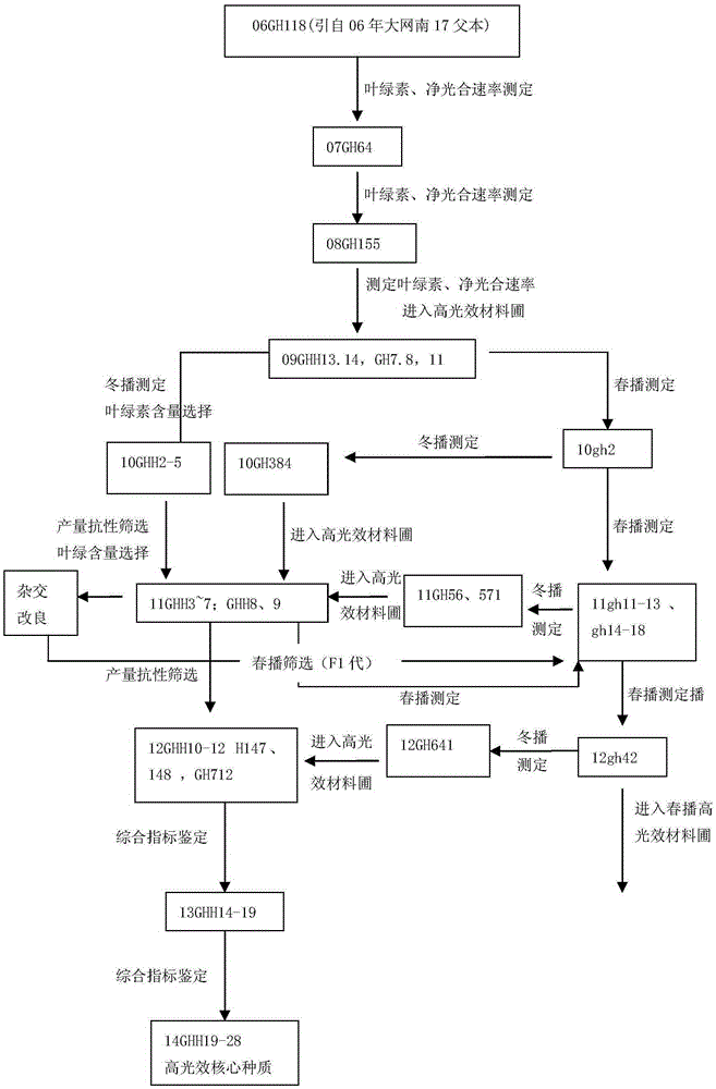 Breeding method of high-photosynthetic-efficiency core collections of rape