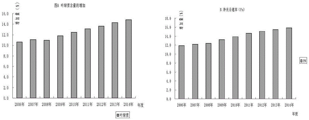 Breeding method of high-photosynthetic-efficiency core collections of rape