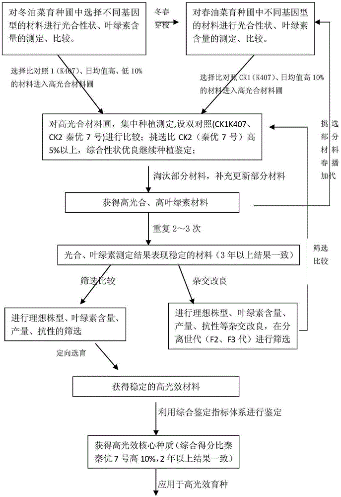 Breeding method of high-photosynthetic-efficiency core collections of rape