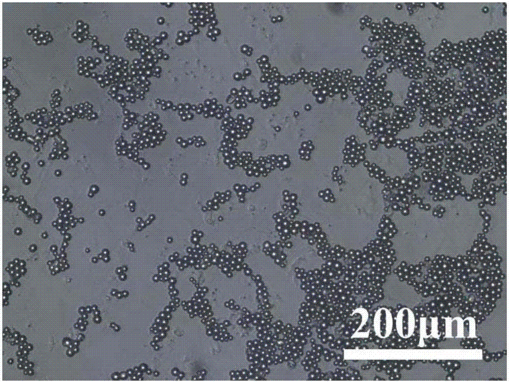 Organic phase-change material microcapsules in narrow particle size distribution and preparation method thereof