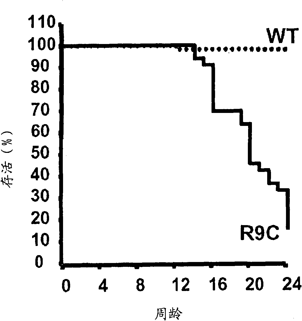 Use of slim-1 in the assessment of heart failure