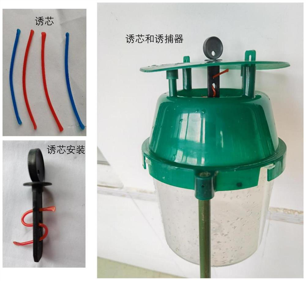 Sex attractant for Spodoptera frugiperda and its preparation method and application