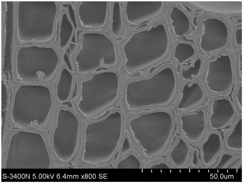 Preparing method for antibacterial and ultraviolet-resisting wood and obtained product