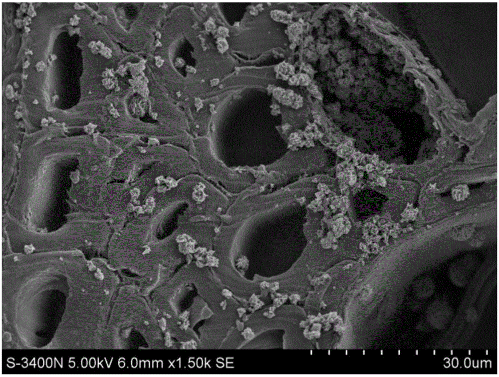 Preparing method for antibacterial and ultraviolet-resisting wood and obtained product