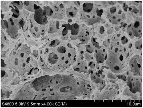 Method for preparing double-channel hydrophilic bicontinuous polymer monolithic column