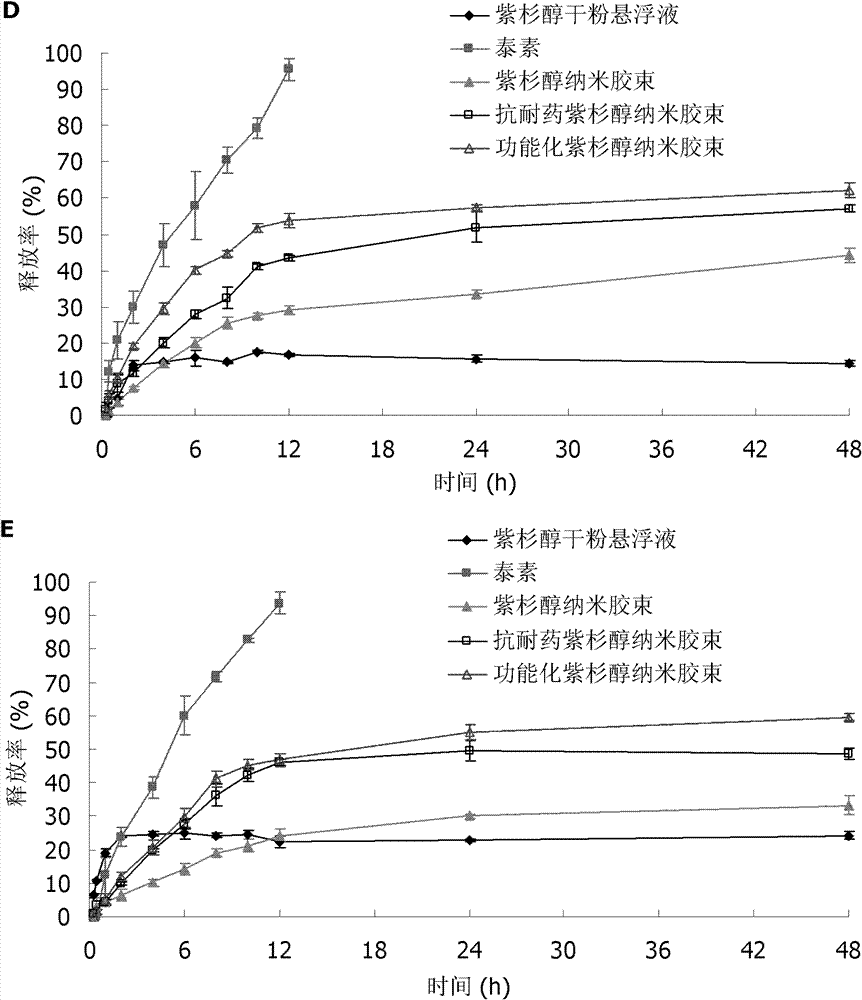 Paclitaxel nano micelle and application thereof