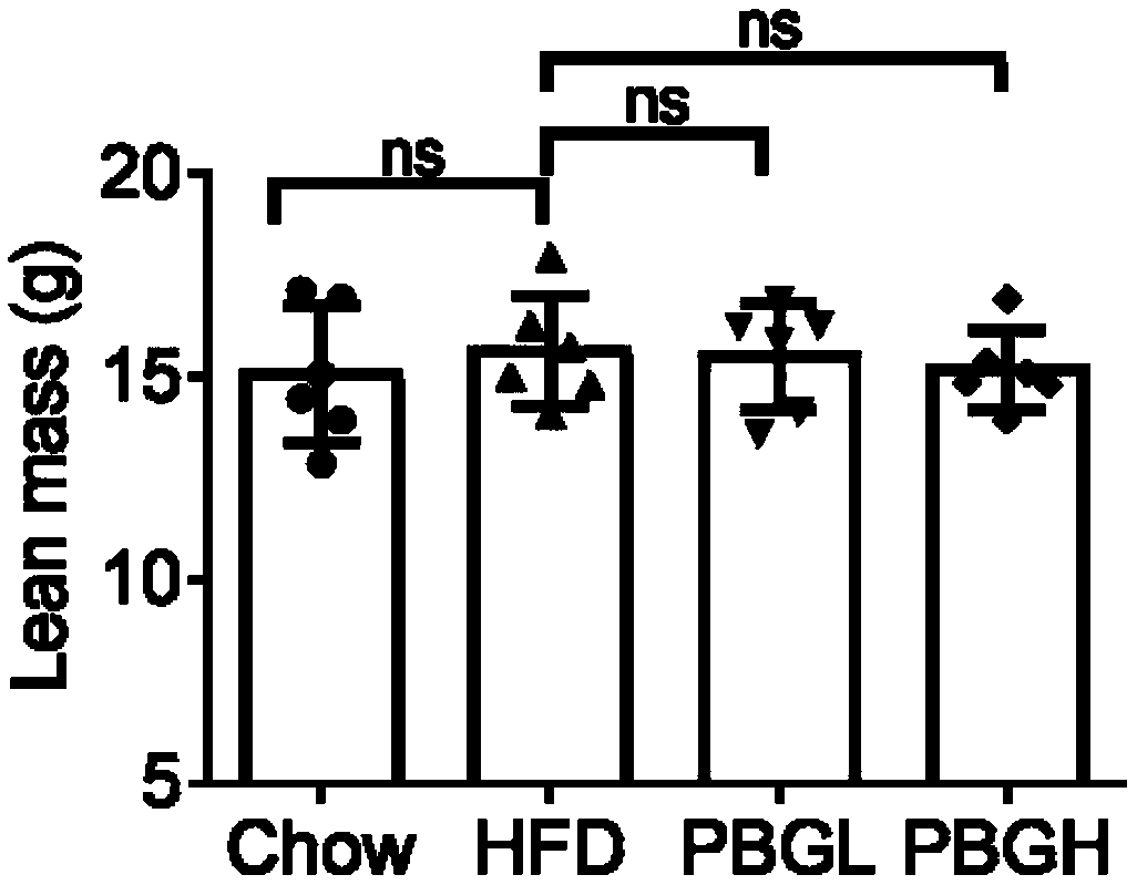 Extraction method of coriolus versicolor beta-glucan peptide and application of coriolus versicolor beta-glucan peptide to obesity or related diseases