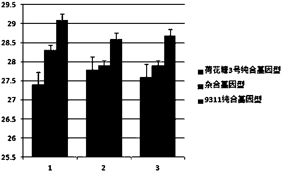 A molecule breeding method for improving heat resistance of rice heading and flowering stage and filling stage by utilizing single-segment substitution line polymerization