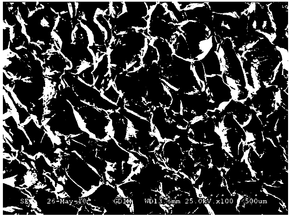 Biodegradable and medical tricalcium phosphate/gamma-polyglutamic acid composite and preparation method thereof