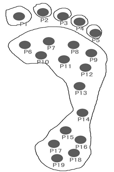 Human body identity recognition system