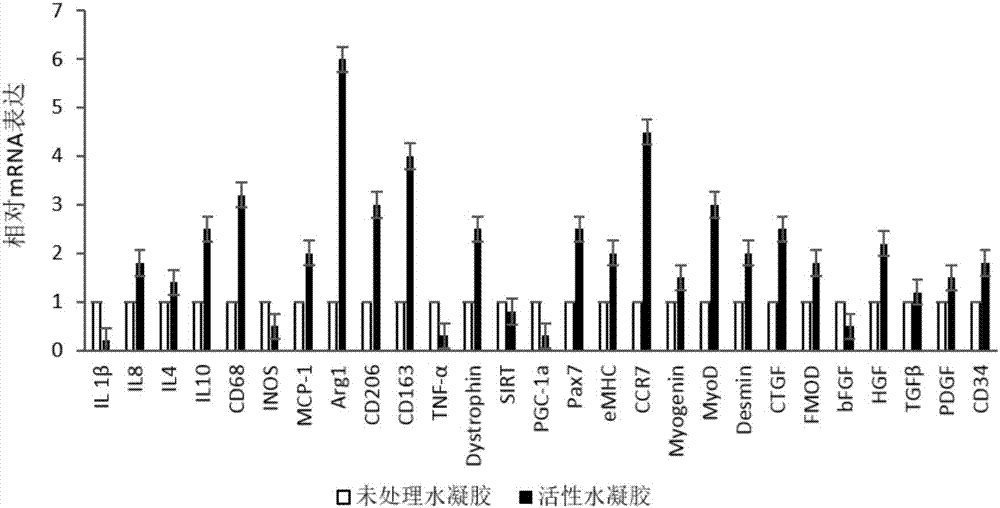 Active hydrogel, preparation method and application thereof in operative wound healing