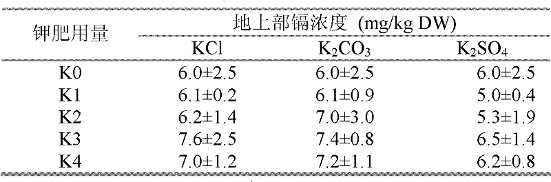 Method for improving phytoremediation efficiency of farmland soil with light cadmium pollution by using potash fertilizer