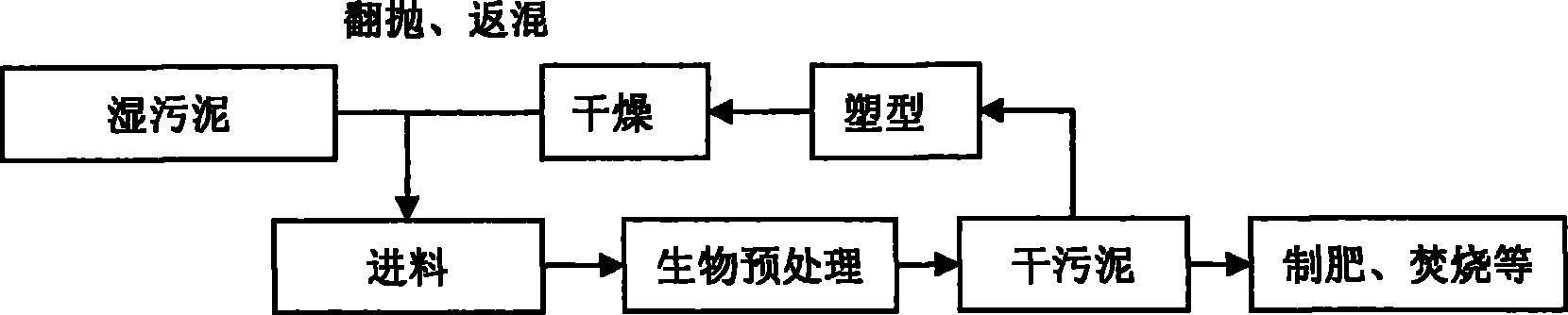 Back mixing method for pretreatment of sludge