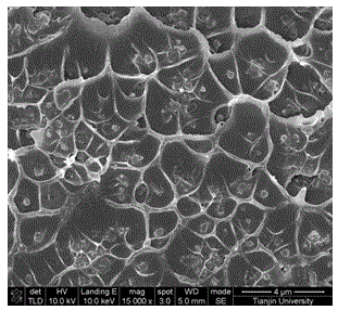 High polymer-modified metal organic framework material composite membrane, and preparation and application thereof