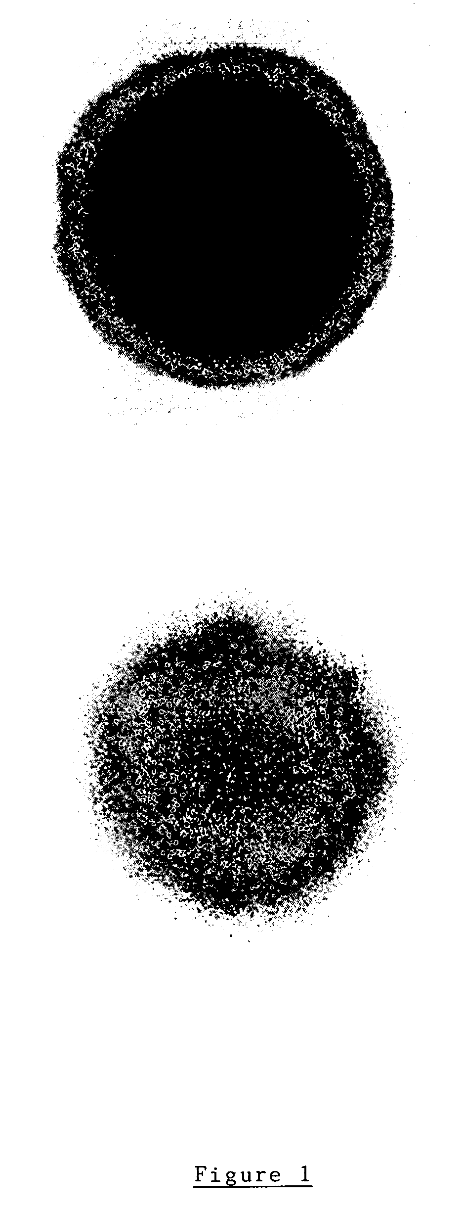 Modified fluorescent proteins for detecting protease activity