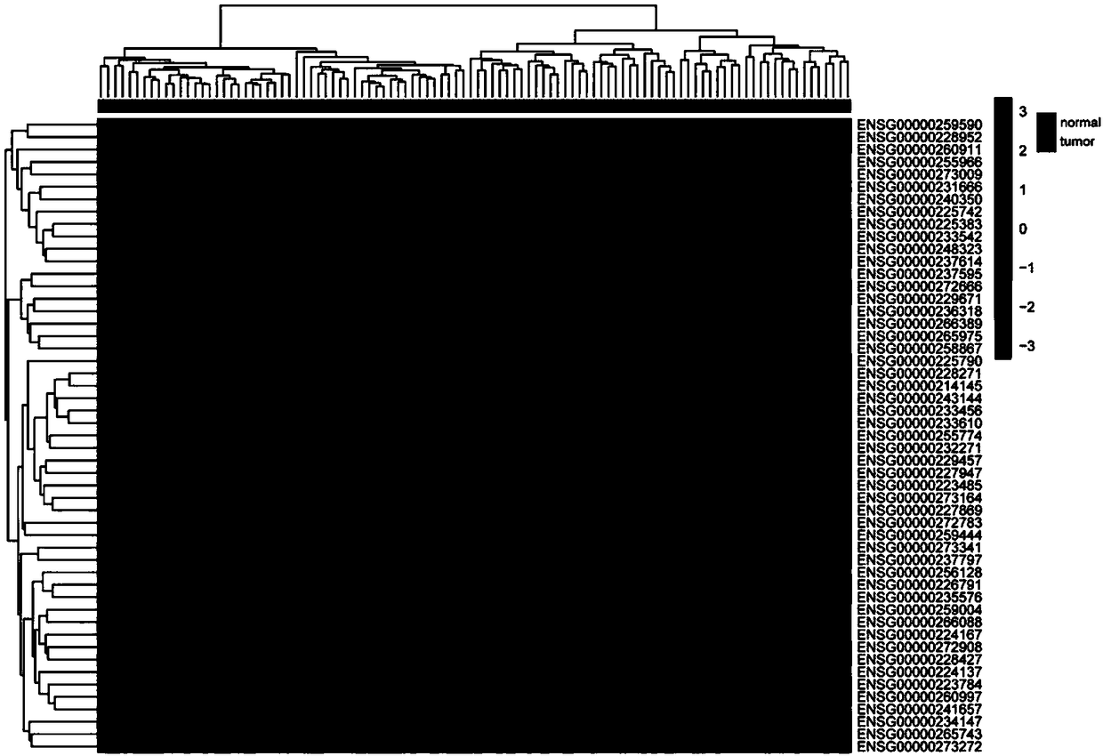 Application of lncRNA combination to preparation of product for predicting renal clear cell carcinoma prognosis and molecular targeted medicine treatment sensitivity