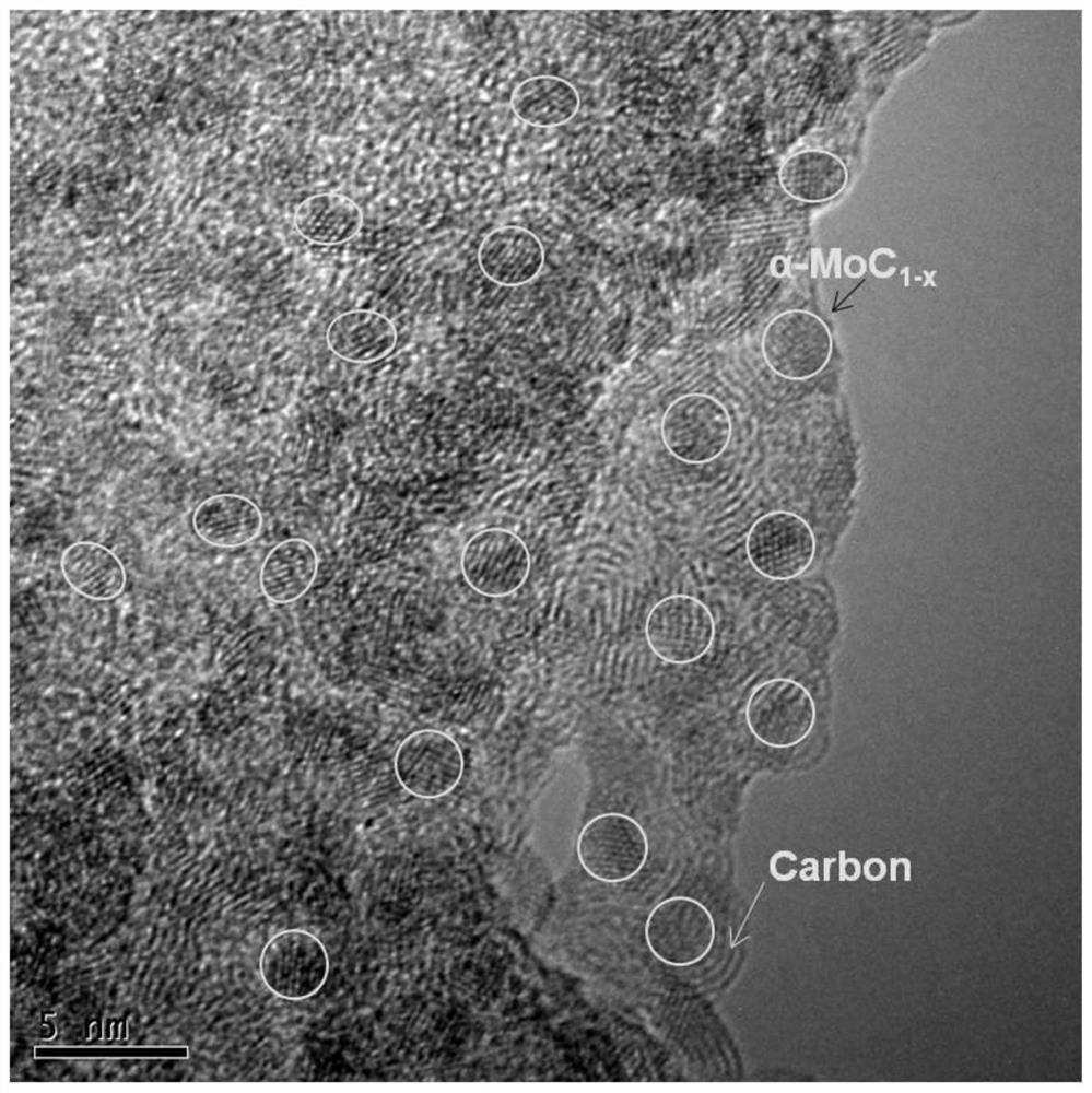 Preparation method of a three-dimensional bouquet-structured α-molybdenum carbide@carbon with high-efficiency light-to-heat conversion properties