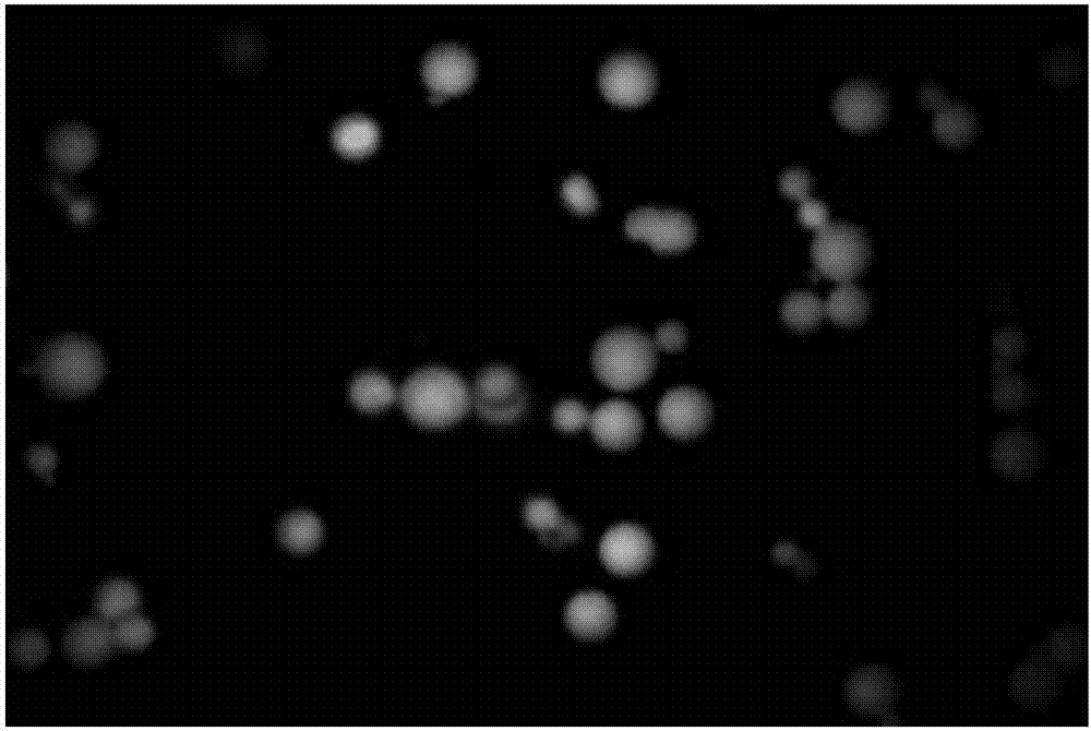 Thymopentin sustained release microsphere and its preparation method and application