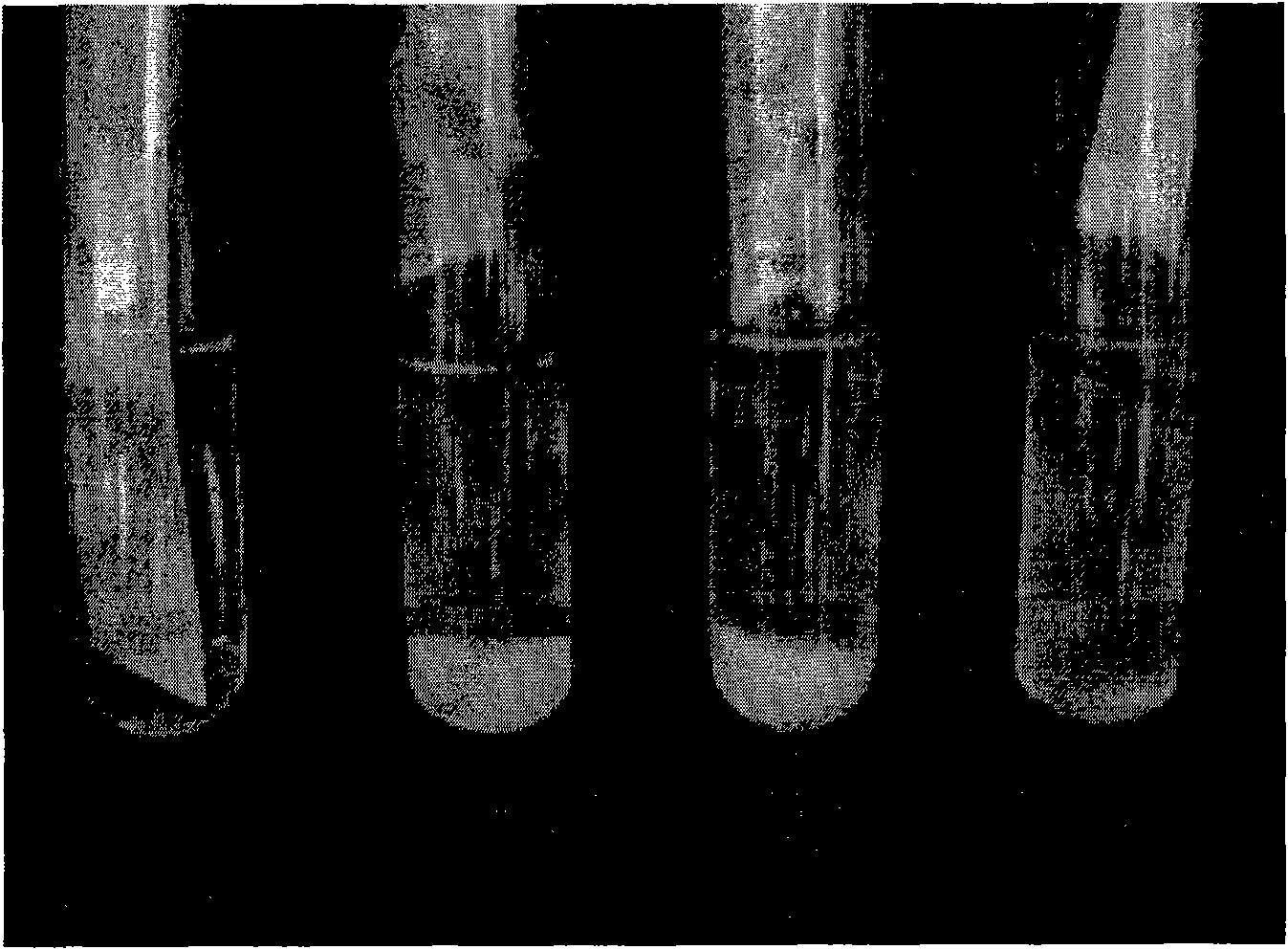 Bacillus licheniformis and application thereof in promotion of cellulose degradation