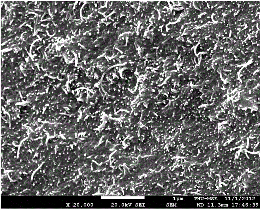 A preparation method of amorphous and nanocrystalline improved polyester self-cleaning shielding fiber