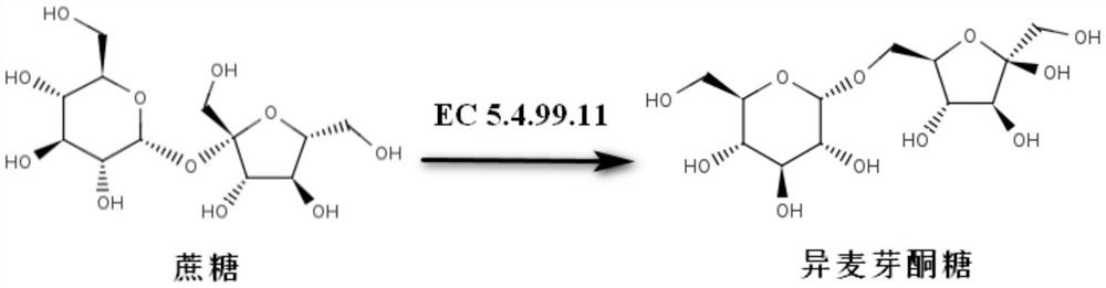 Sucrose isomerase mutant and application thereof