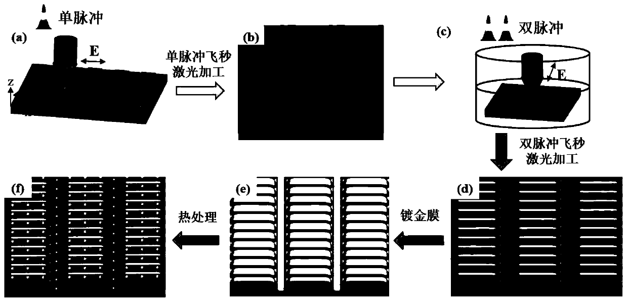 A Surface-Enhanced Raman Substrate Fabrication Method Based on Electron Dynamic Control