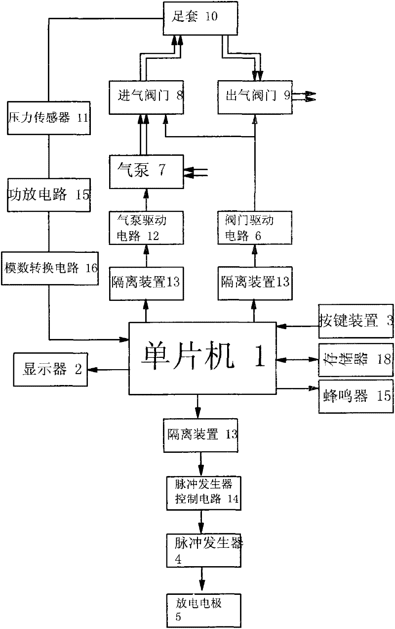 Pelma and shank bionic pump and use method